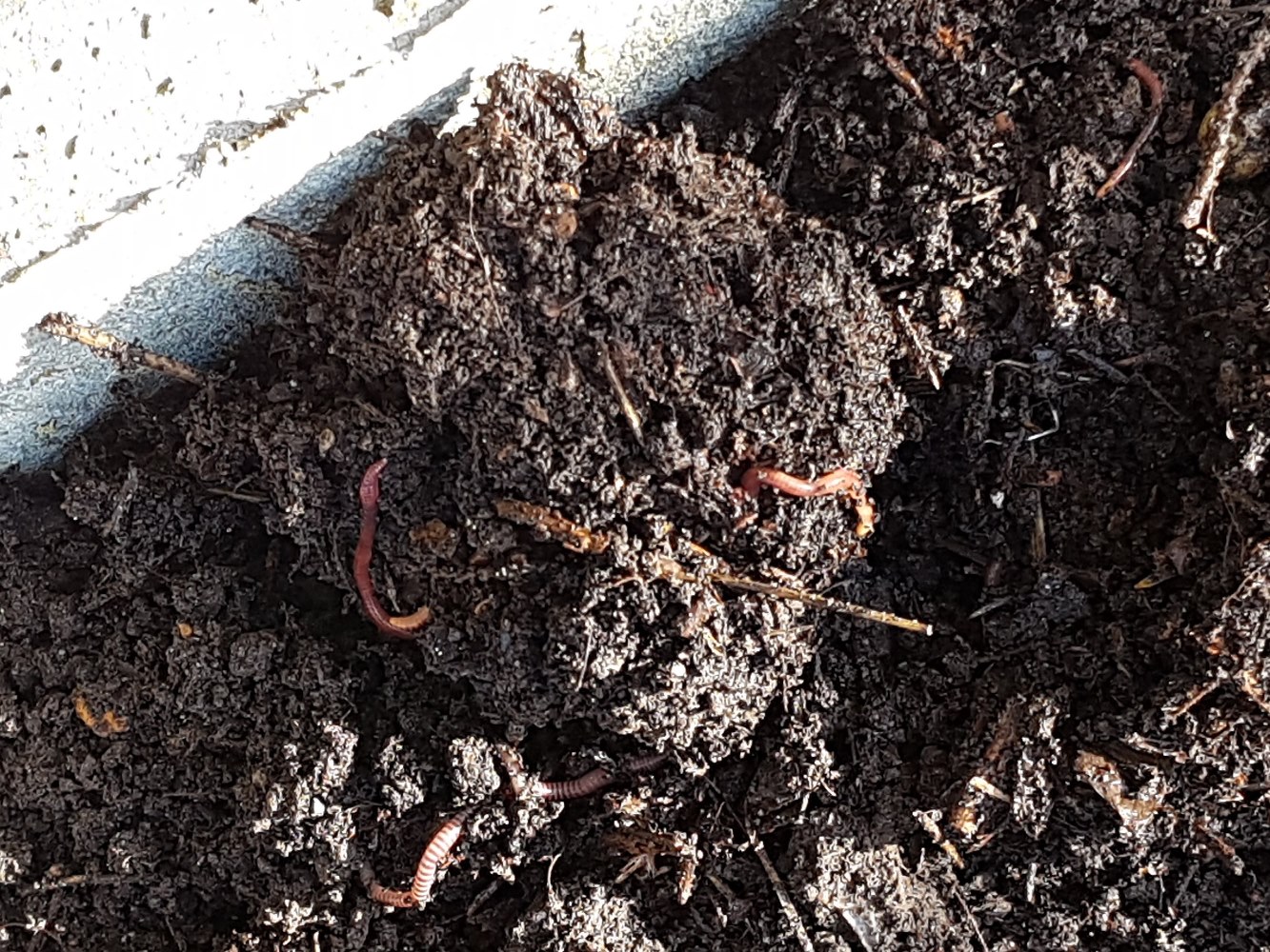 Bokashi Composting
